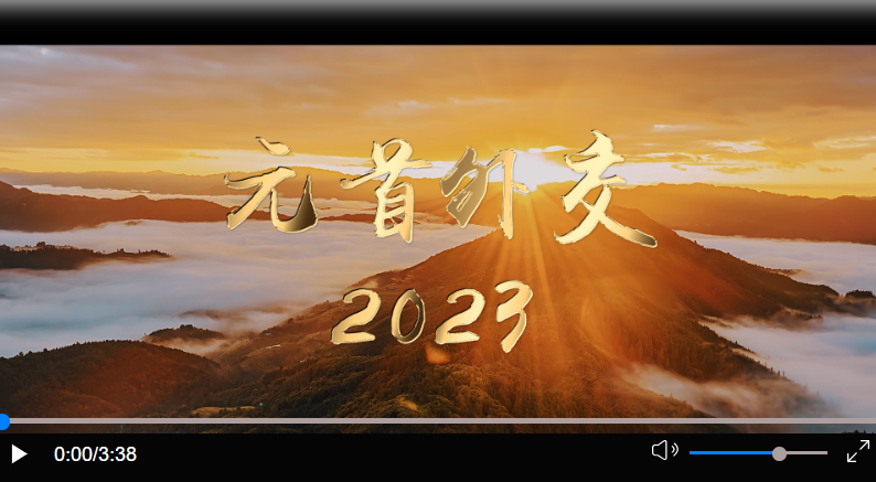 元首外交2023