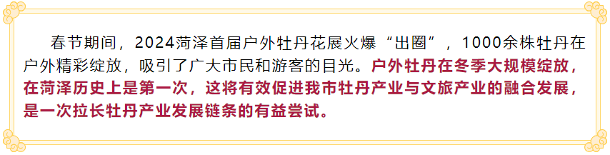 这就是山东·菏泽 | 演绎“冬日浪漫”！2024菏泽首届户外牡丹花展火爆“出…