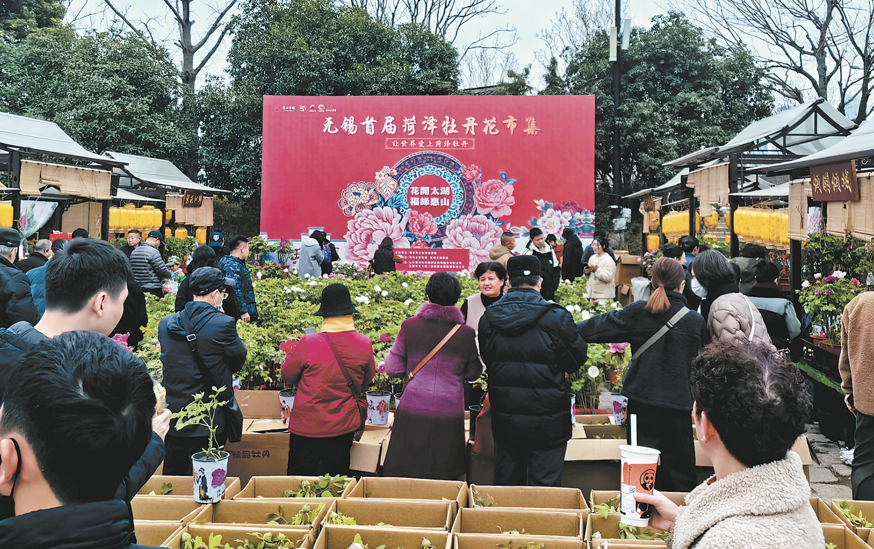 “国色芳华”的花香密码