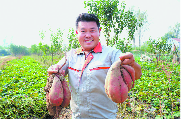 生态循环农业鼓起农民“钱袋子”