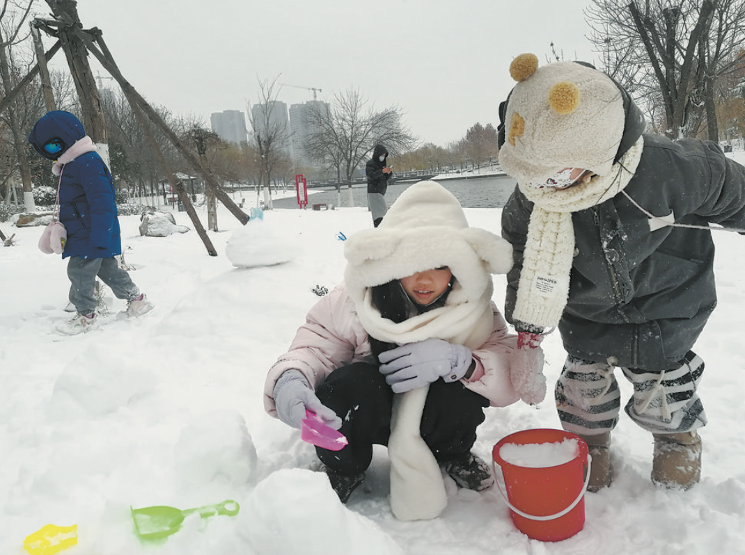 我市迎来大范围降温降雪天气将有利于冬小麦的生长