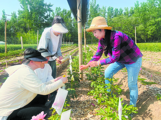 师生携手培育“两花”新品种