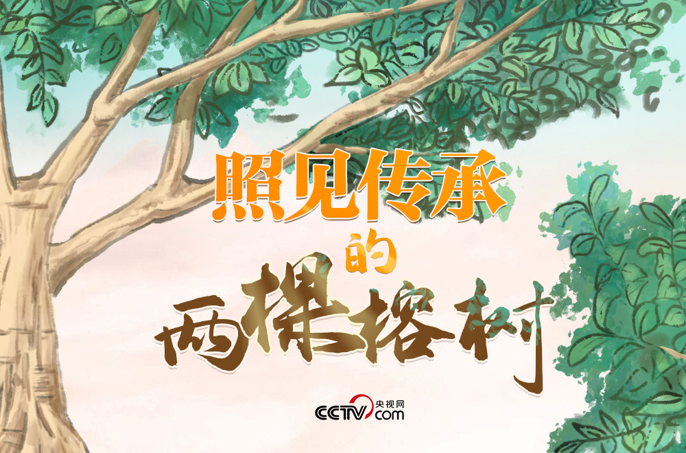 人民领袖｜照见传承的两棵榕树