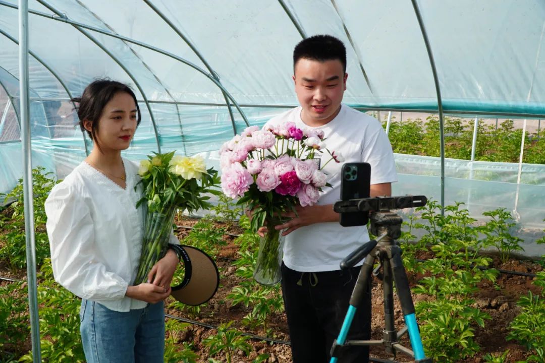 在菏泽市牡丹区黄堽镇，电商主播在芍药种植大棚内直播带货 徐速绘 摄