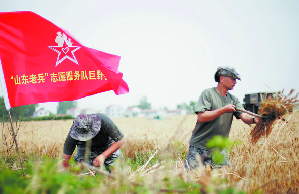 老兵吹响“集结号”助力“三夏”抢收