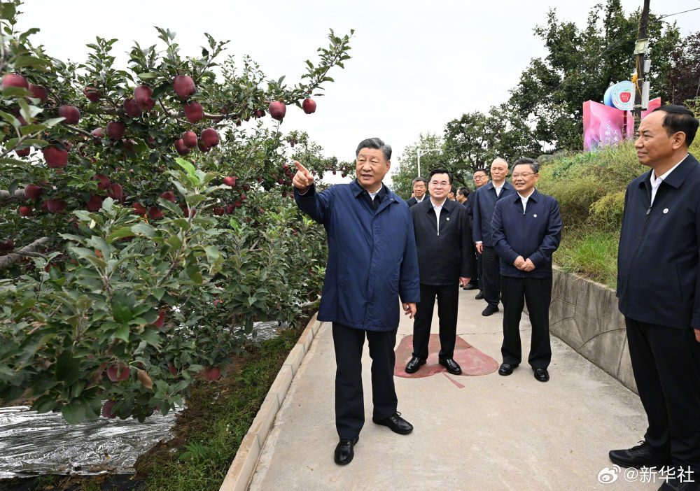 习近平：乡村振兴要靠产业，各地要各展其长