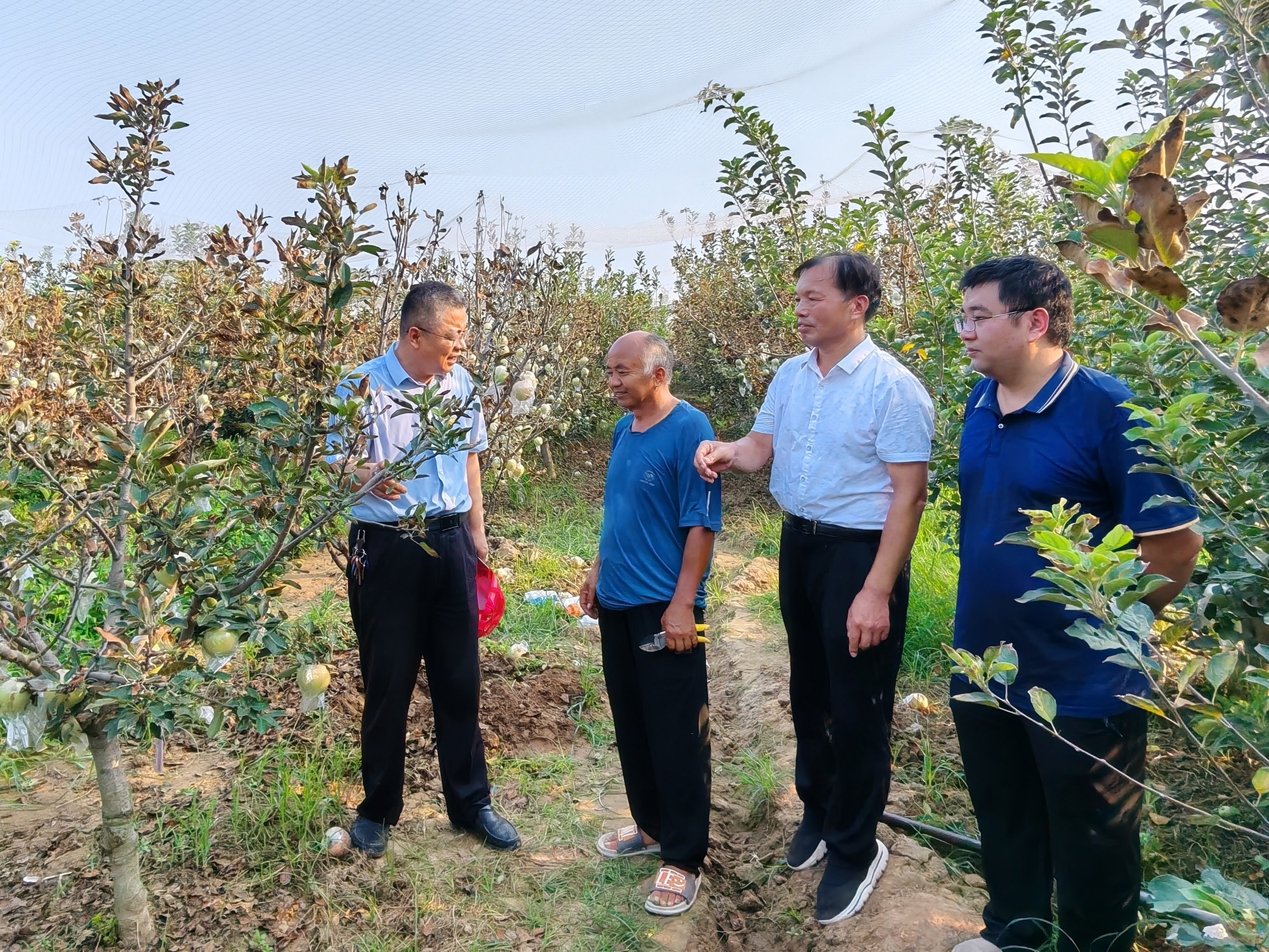 果树专家田间授课 助力农户科学种植