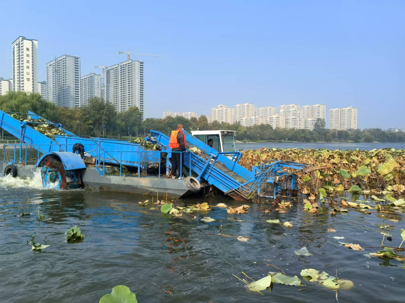 清理河道垃圾 美化生态环境