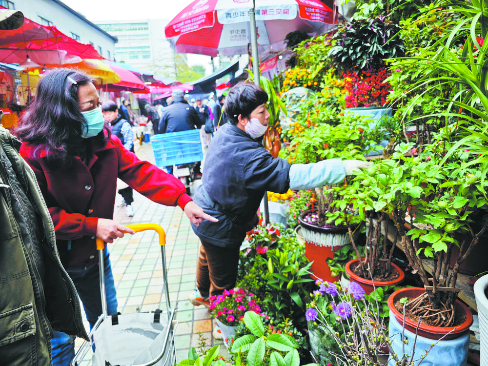 菏泽牡丹走俏广州年宵花市场