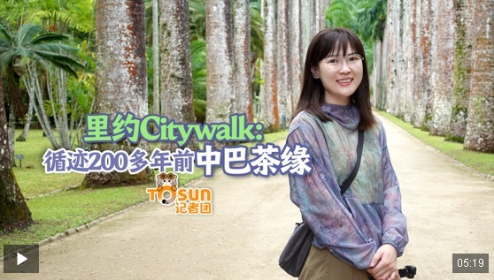 时政Vlog丨里约Citywalk：循迹200多年前中巴茶缘