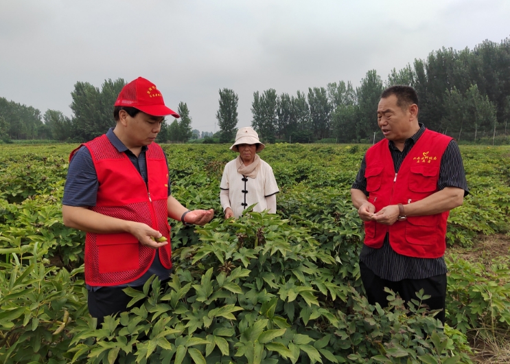 菏泽市科技特派员: 送科技下乡为乡村振兴添智增力