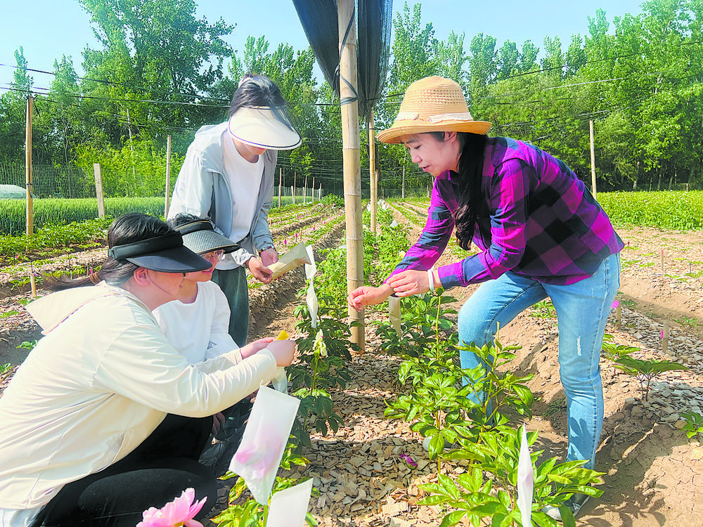 师生携手培育“两花”新品种