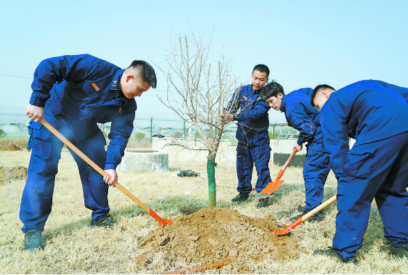 植树活动再添新绿