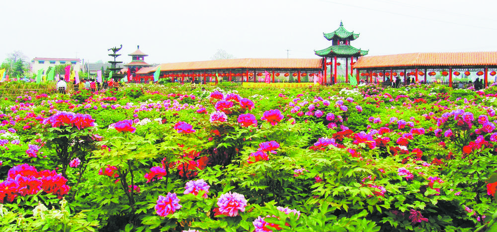 曹州百花园 旧貌添新颜