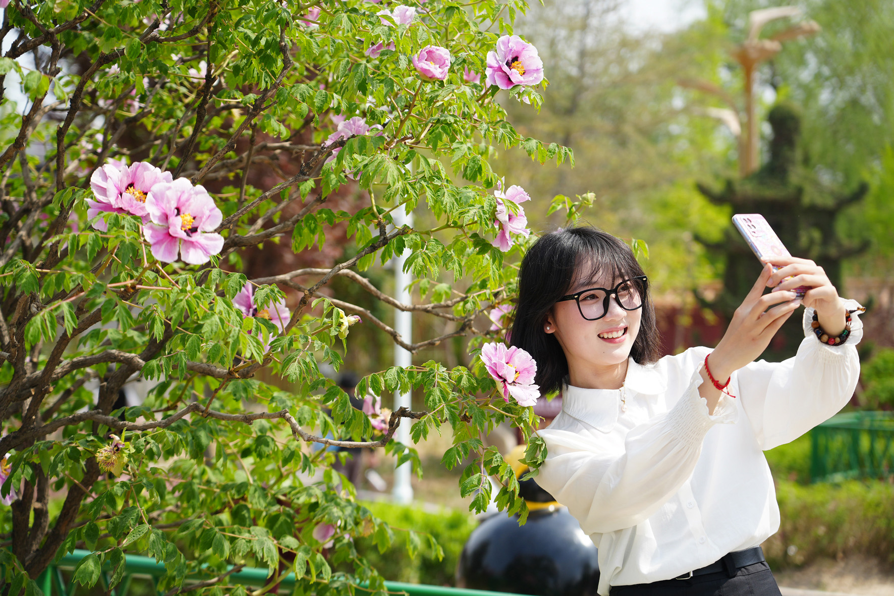 牡丹花开日 众口夸国色