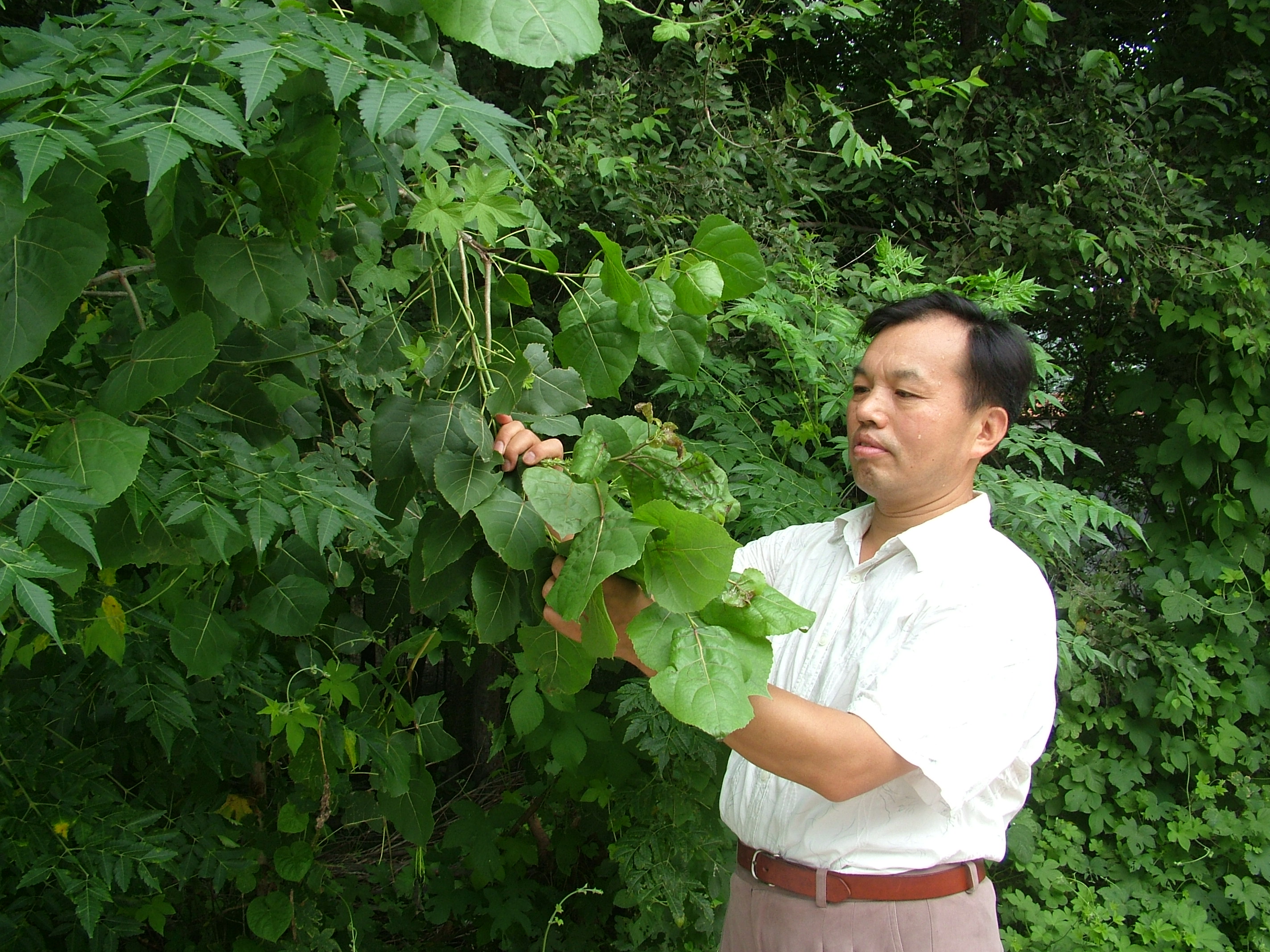 践行生态文明 甘当绿色卫士