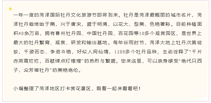 哪里牡丹最好看？老菏泽人带你玩转各大牡丹园！