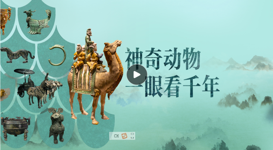 博物致知｜博物馆的神奇动物里，藏着“何以中国”的密码