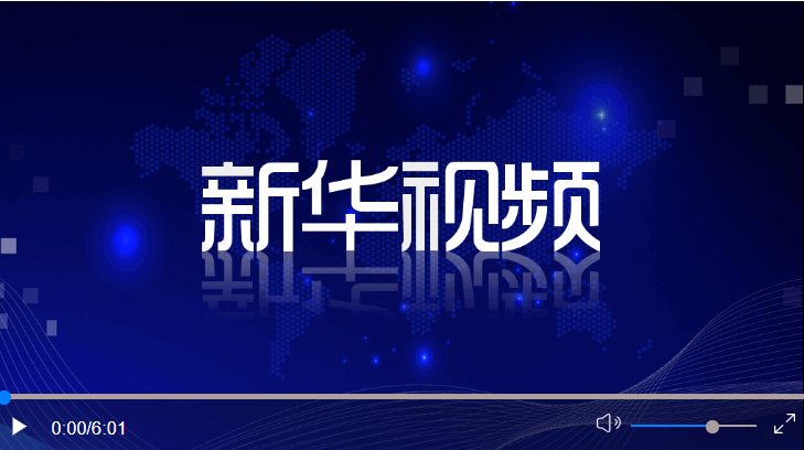 习近平接受外国新任驻华大使递交国书