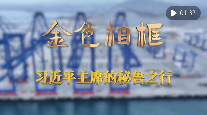 “从历史长周期把握世界大势”——习近平主席出席亚太经合组织第三十一次领导人非…