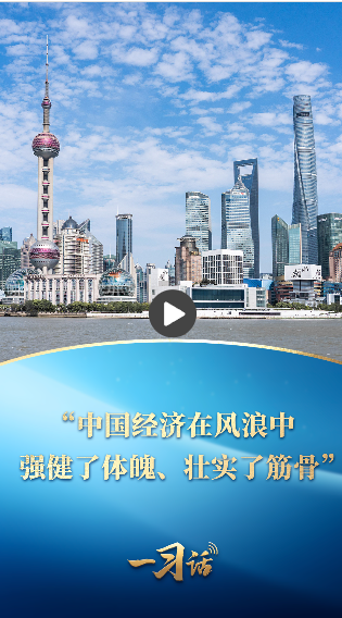 一习话丨“中国经济在风浪中强健了体魄、壮实了筋骨”