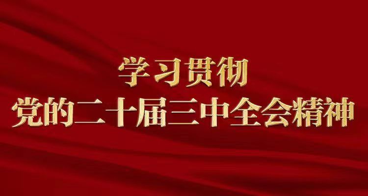 凝聚力量抓落实，开创进一步全面深化改革新局面——各地干部群众掀起学习贯彻党的…