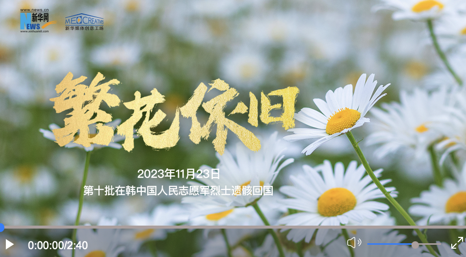 英雄回家｜繁花依旧