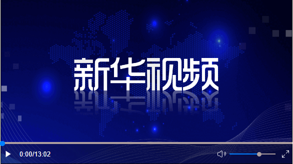 两会受权发布丨十四届全国人大二次会议在京开幕 习近平王沪宁蔡奇丁薛祥李希韩正…