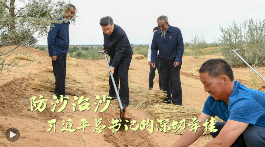 防沙治沙，习近平总书记的深切牵挂