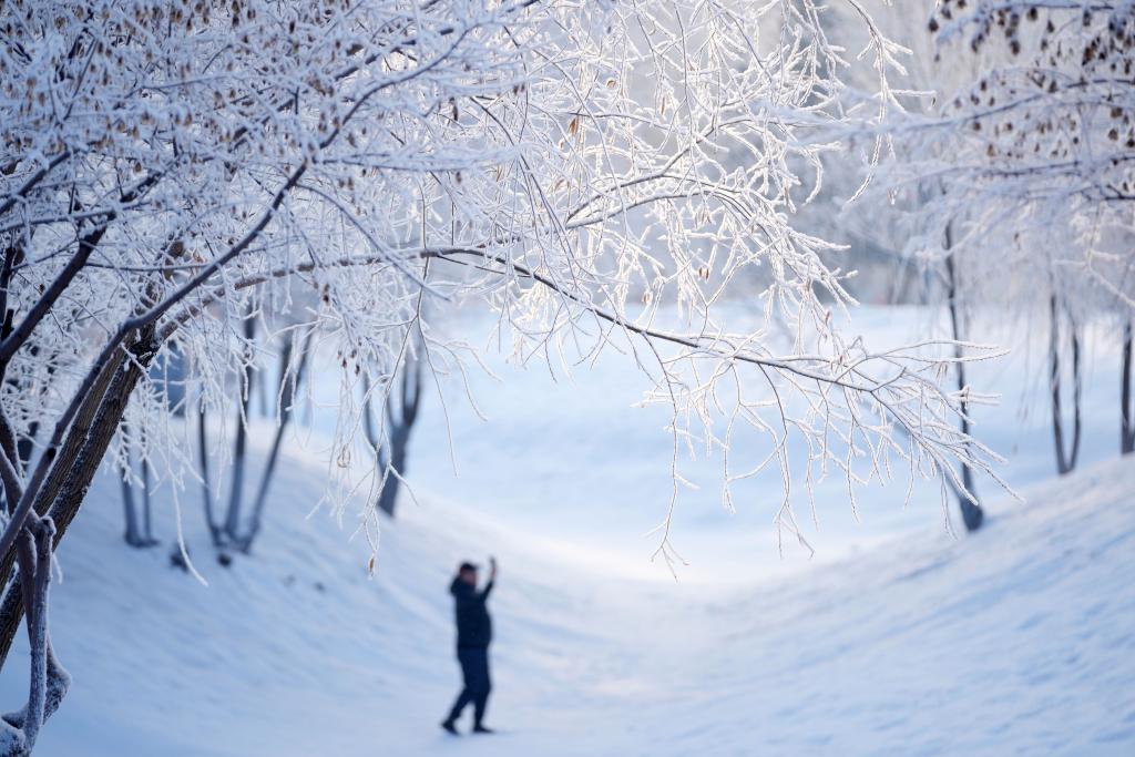 追光丨热“雪”沸腾，这个冬天火的不只“尔滨”