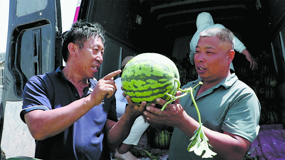 靓了乡村  强了产业  红了日子