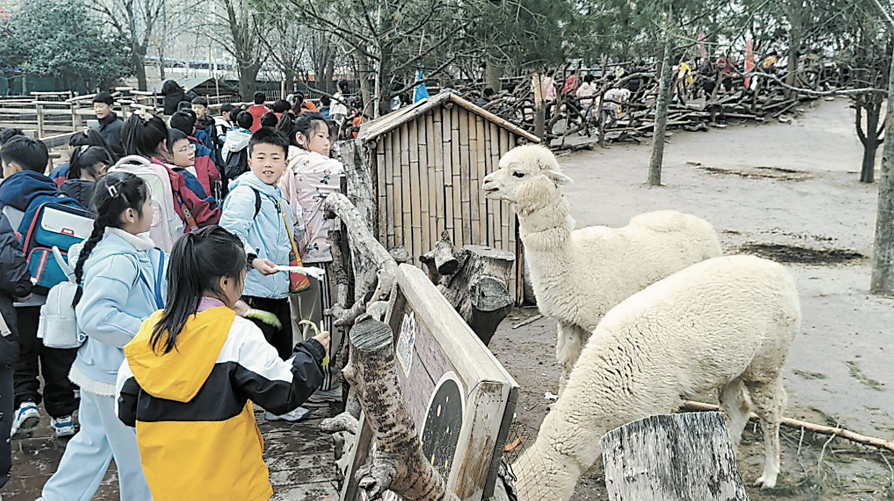 200余名菏泽报业郓城小记者打卡曹州牡丹园动物园