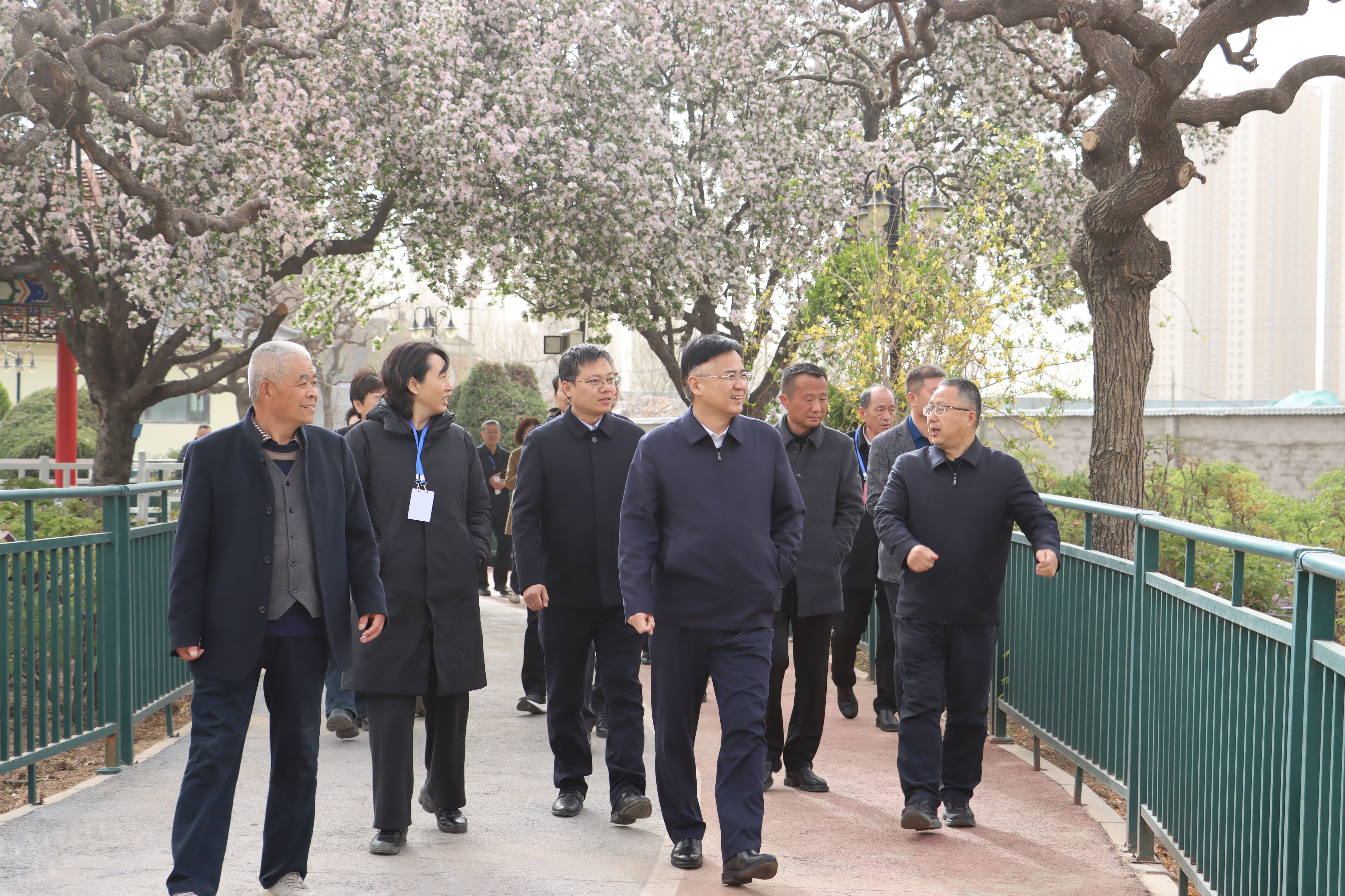 菏泽市牡丹区人大：多向发力，促牡丹红火绽放