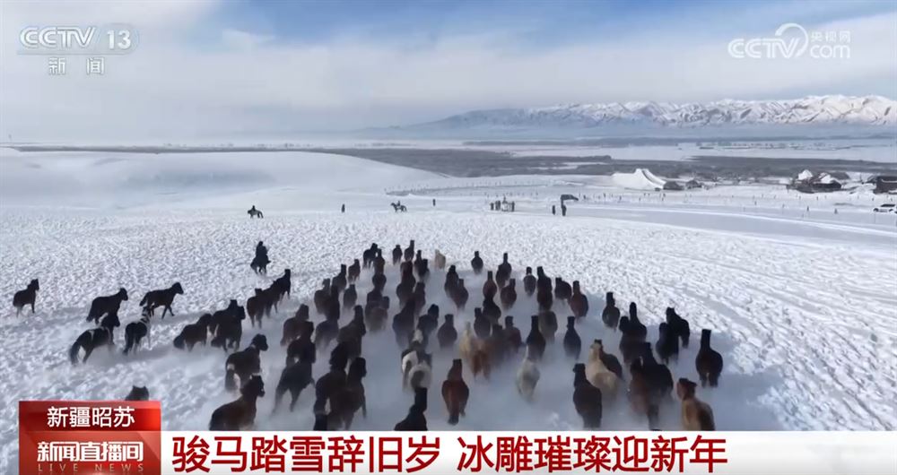 新业态、新供给澎湃假日文旅消费新动能 文化之美“百花齐放”添彩元旦假期_新闻频道