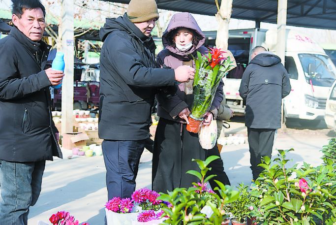 寒冬时节鲜花俏销