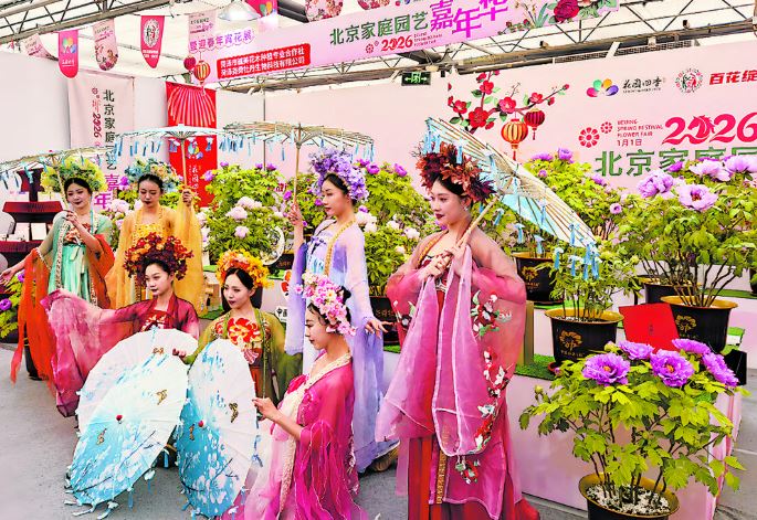 菏泽催花牡丹进京“闹春”