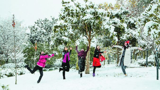 踏雪寻欢