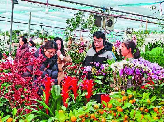 寻味菏泽年，鲜花市场闹新春
