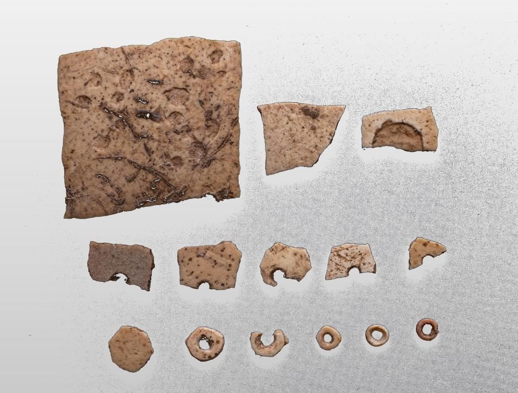 裴李岗遗址发现约2.6万年前鸵鸟蛋壳加工场_新闻频道