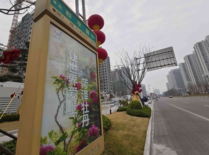 让游客于细节中感受牡丹魅力