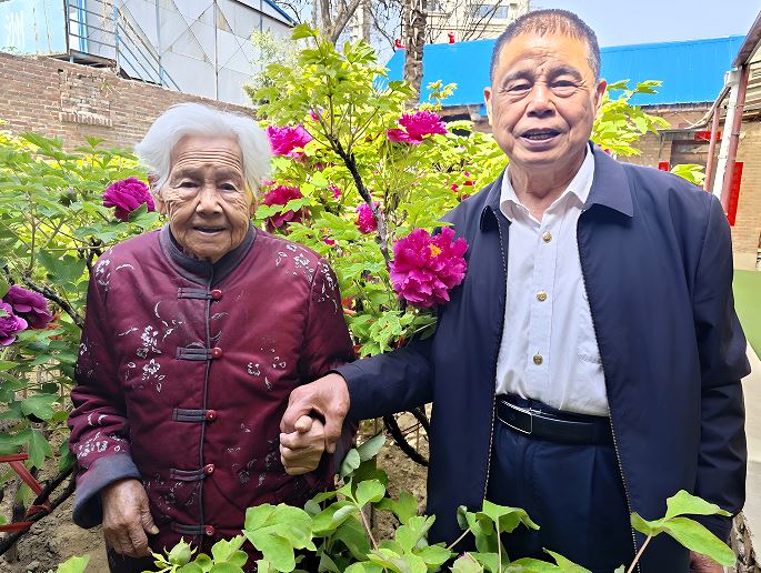 百岁奶奶的“陪嫁牡丹”开了