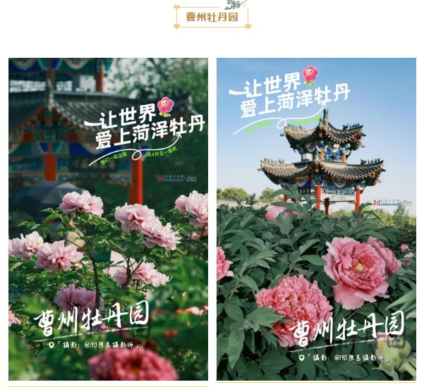 坐标菏泽，你有一份“花式”请柬待解锁！