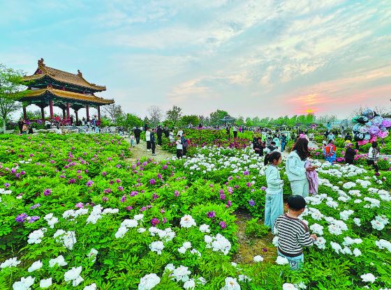 万福河畔藏“赏花秘境”