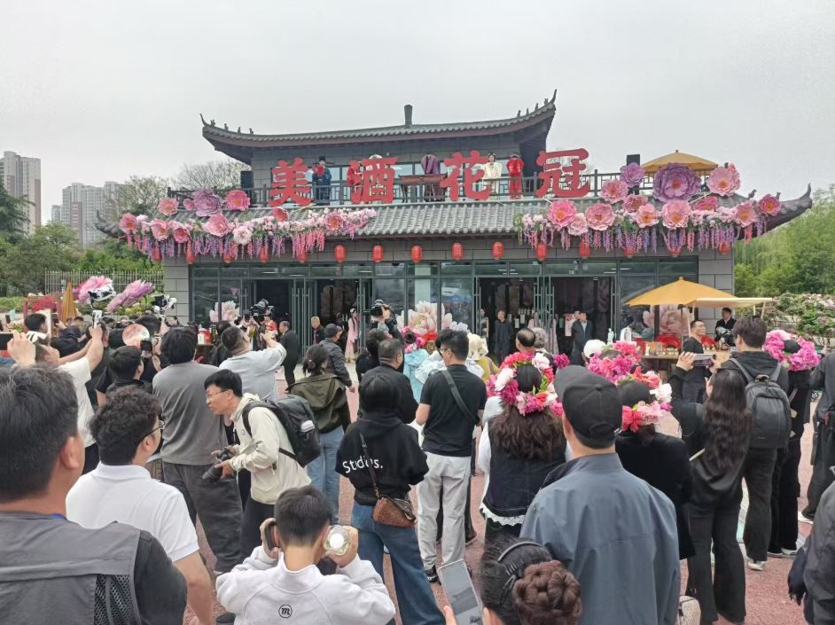 一花一酒，何以倾城？