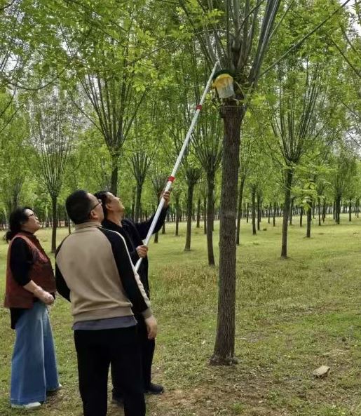 挂设诱捕器 筑牢生态防线