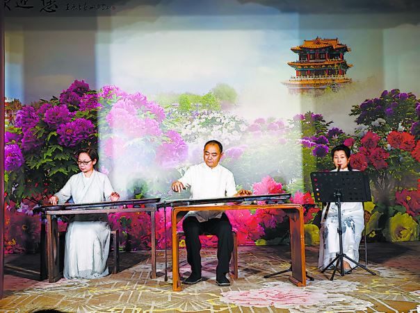 琴遇牡丹 花海闻雅音