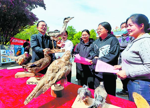 守护飞羽精灵 共绘生态画卷