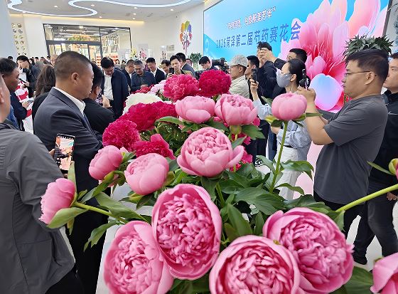 “芍约”菏泽，共度醉美芳华