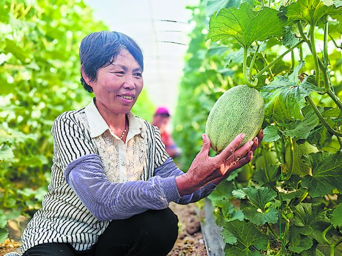 特色农业富农家