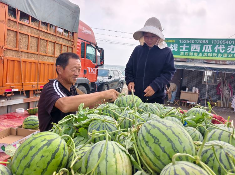 “隔皮猜瓜”,验瓜师月入过万